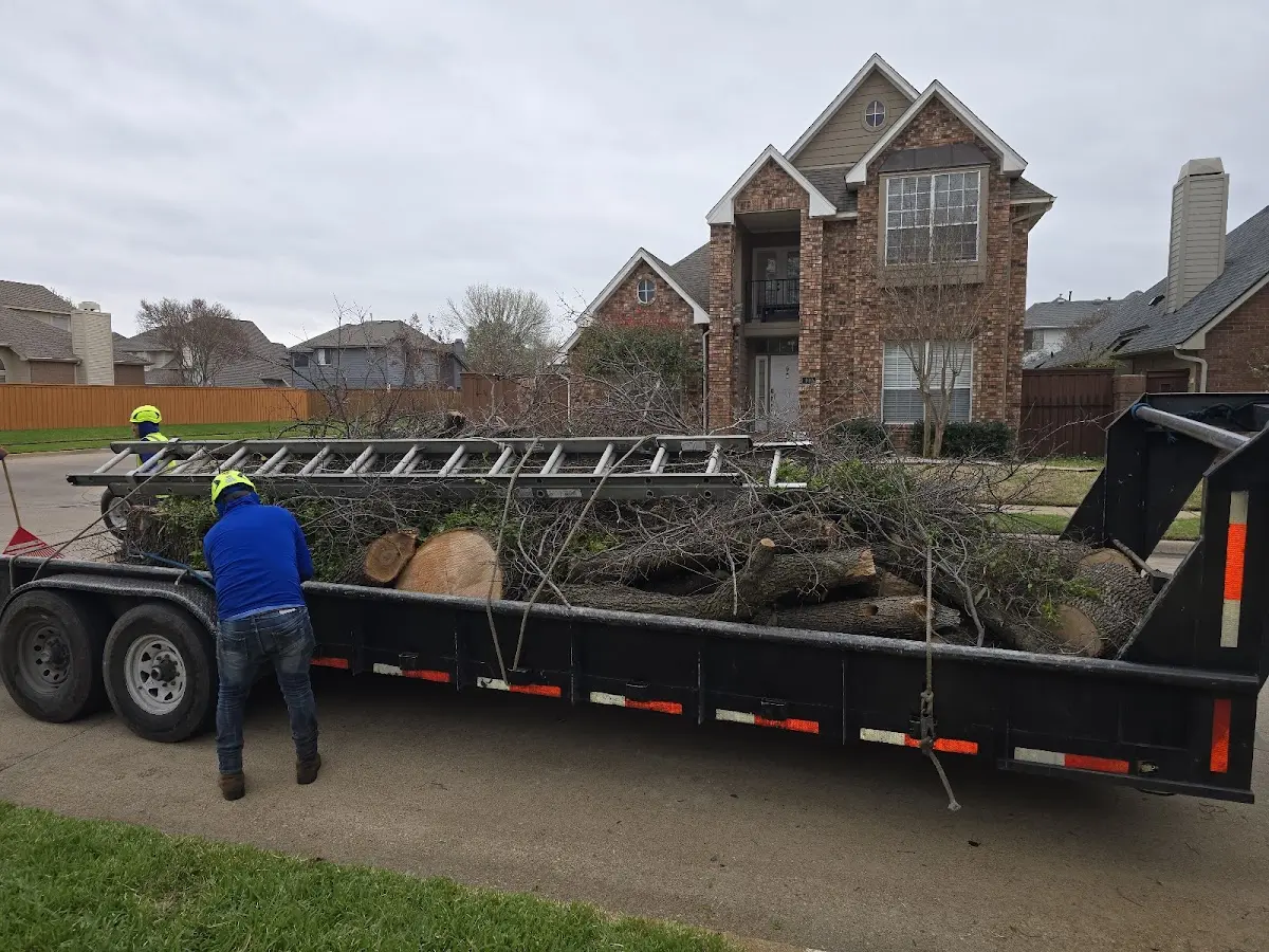 Expert Lot Clearing with proper safety equipment in Pickett